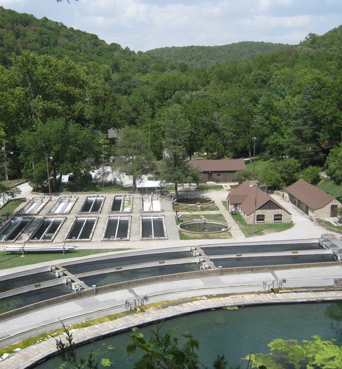 Trout hatchery at Roaring River State Park.